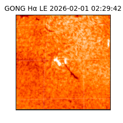 gong - 2026-02-01T02:29:42