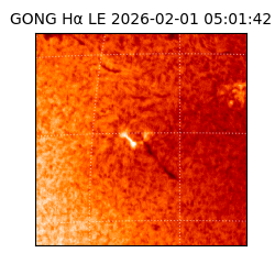 gong - 2026-02-01T05:01:42