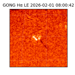 gong - 2026-02-01T08:00:42