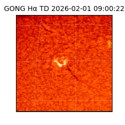 gong - 2026-02-01T09:00:22