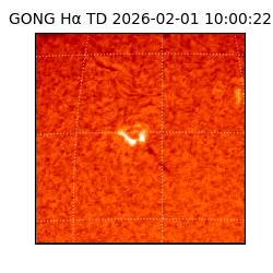 gong - 2026-02-01T10:00:22