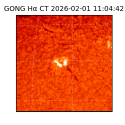 gong - 2026-02-01T11:04:42