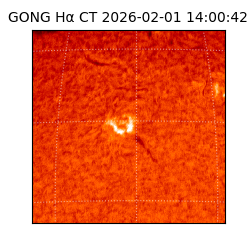 gong - 2026-02-01T14:00:42