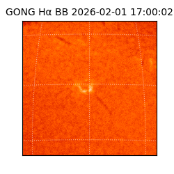 gong - 2026-02-01T17:00:02