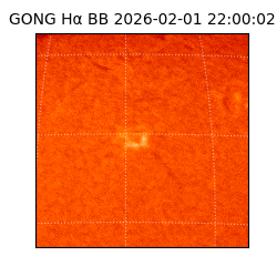 gong - 2026-02-01T22:00:02