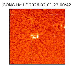 gong - 2026-02-01T23:00:42