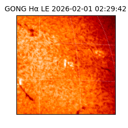 gong - 2026-02-01T02:29:42