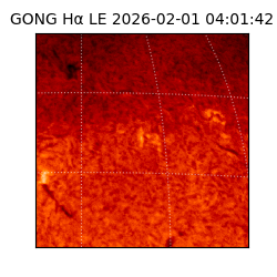 gong - 2026-02-01T04:01:42