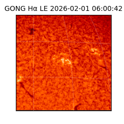gong - 2026-02-01T06:00:42