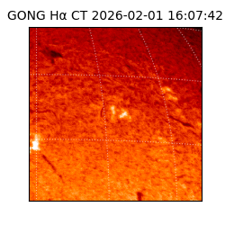 gong - 2026-02-01T16:07:42