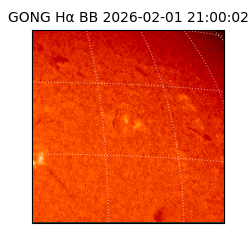 gong - 2026-02-01T21:00:02