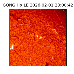 gong - 2026-02-01T23:00:42