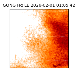 gong - 2026-02-01T01:05:42