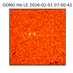 gong - 2026-02-01T07:00:42