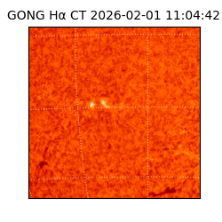 gong - 2026-02-01T11:04:42