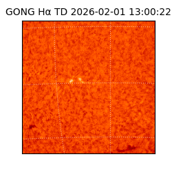 gong - 2026-02-01T13:00:22