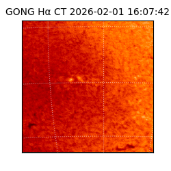 gong - 2026-02-01T16:07:42