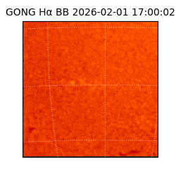 gong - 2026-02-01T17:00:02
