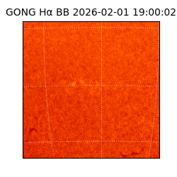 gong - 2026-02-01T19:00:02