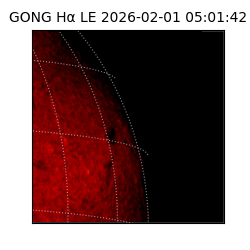 gong - 2026-02-01T05:01:42