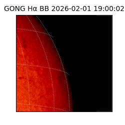 gong - 2026-02-01T19:00:02