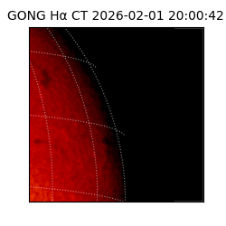gong - 2026-02-01T20:00:42
