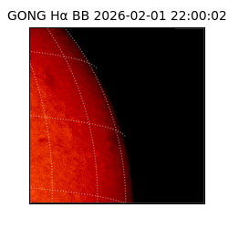 gong - 2026-02-01T22:00:02