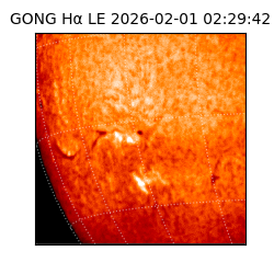 gong - 2026-02-01T02:29:42