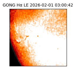 gong - 2026-02-01T03:00:42