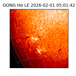 gong - 2026-02-01T05:01:42
