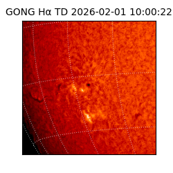 gong - 2026-02-01T10:00:22