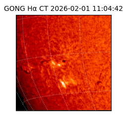 gong - 2026-02-01T11:04:42