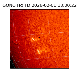 gong - 2026-02-01T13:00:22