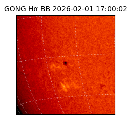 gong - 2026-02-01T17:00:02