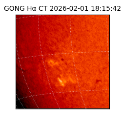 gong - 2026-02-01T18:15:42