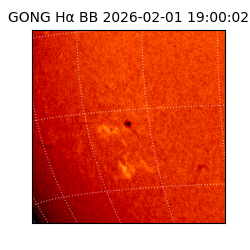 gong - 2026-02-01T19:00:02