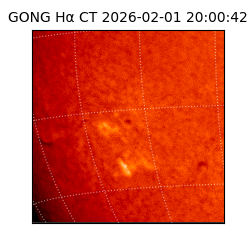 gong - 2026-02-01T20:00:42