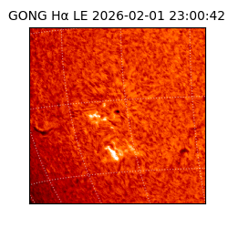 gong - 2026-02-01T23:00:42