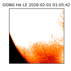 gong - 2026-02-01T01:05:42