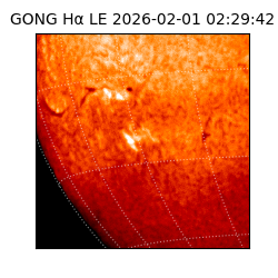gong - 2026-02-01T02:29:42