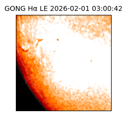 gong - 2026-02-01T03:00:42