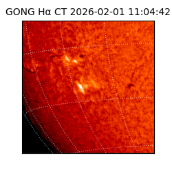 gong - 2026-02-01T11:04:42