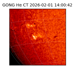 gong - 2026-02-01T14:00:42