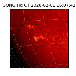 gong - 2026-02-01T16:07:42