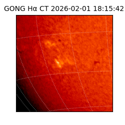 gong - 2026-02-01T18:15:42