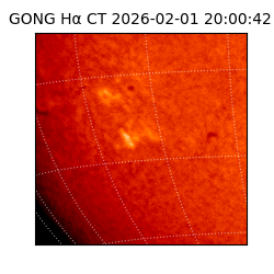 gong - 2026-02-01T20:00:42