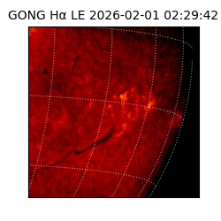 gong - 2026-02-01T02:29:42