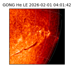 gong - 2026-02-01T04:01:42