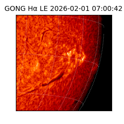 gong - 2026-02-01T07:00:42