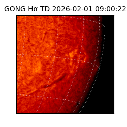gong - 2026-02-01T09:00:22